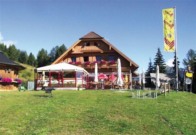 Sauschneideralm Hotel Faningberg Екстериор снимка