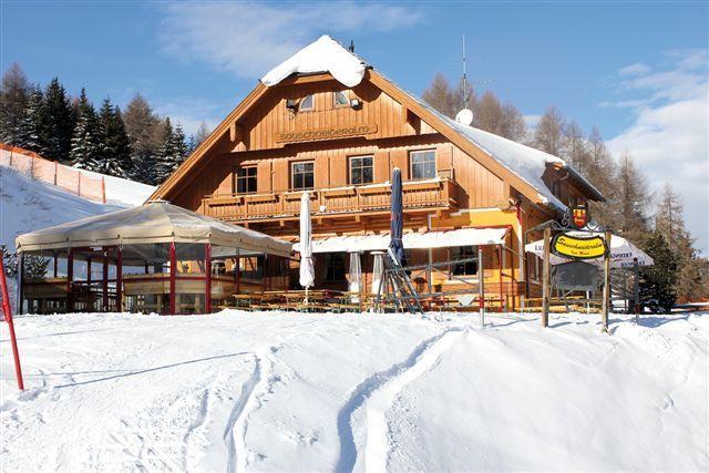 Sauschneideralm Hotel Faningberg Екстериор снимка